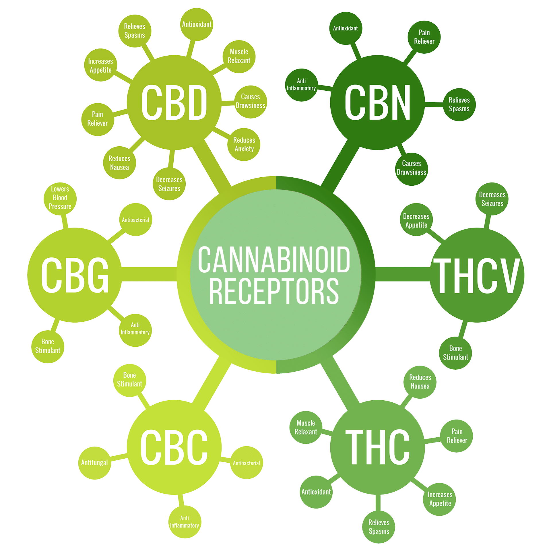 Science | Discovery and Development of Cannabinoid Medicine
