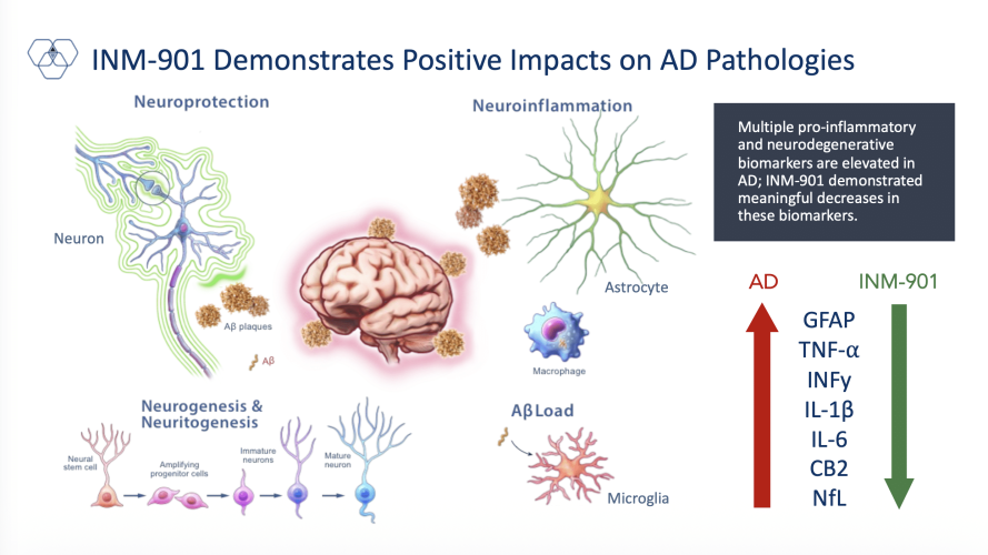 INM-901 Impact on Alzheimer's Disease